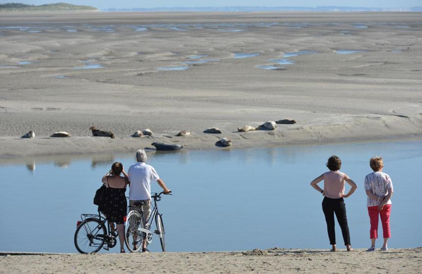 Hamac Chic Vue Mer. Berck Exterior foto